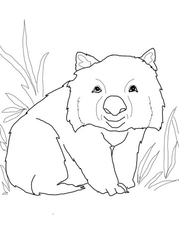 Funny Wombat Coloring Page